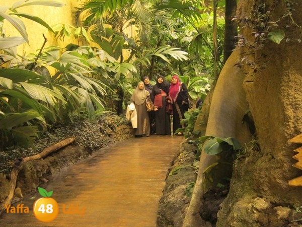 istanbul42500 (19).JPG